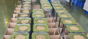 Nueces de Anacardo Orgánicas de Alta Calidad al por Mayor, Granos Fritos a Granel, Snack Premium con Documentación Completa de Exportación IIGLOBAL FARM Vietnam - Product Image 2
