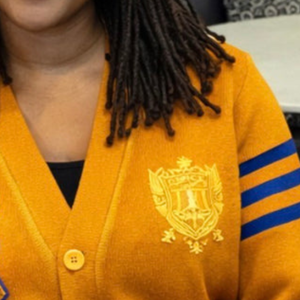 Custom SGRHO <b>Cardigan</b> Sigma Gamma Rho Women's Greek Sorority Embroidered Button Up Knit Sweater Casual Fashion Wholesale Apparel - Product Image 3