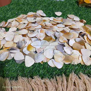 Plectre de guitare élégant fait main en corne naturelle, plectre en corne d'ox de qualité supérieure pour musiciens à prix avantageux - Product Image 5