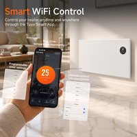 Panneau chauffant infrarouge CE personnalisable OEM, mural/sur pied, plaque en cristal de carbone, chauffage électrique intelligent pour l'hiver à domicile