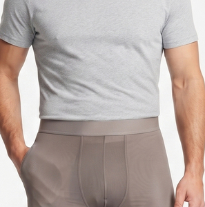 Men's Sheer <b>Boxer</b> Shorts 100% Polyester Sheer <b>See</b> <b>Through</b> Shorts Men Nightwear Club Sexy Sheer Shorts Mens Elastic Waist Short - Product Image 3