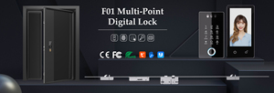 Cerradura Digital de Alta Seguridad F01 de 3 Puntos con Pantalla a Color de 5 Pulgadas para Puerta de Entrada Pivotante Residencial - Product Image 3