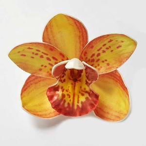 <span class=keywords><strong>Handmade</strong></span> Hoa Xốp Hoa Nhân Tạo Cymbidium Chất Lượng Cao Cho Trang Trí Và Phụ Kiện Tóc. - Product Image 3