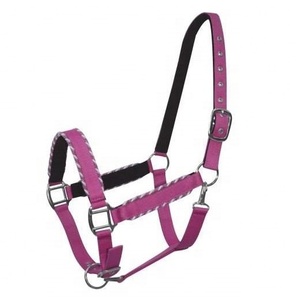 Adjustable Durable Nylon PP Horse <b>Halter</b> with Brass Buckle for Endurance Racing Custom Logo Equestrian Riding Accessories - Product Image 3