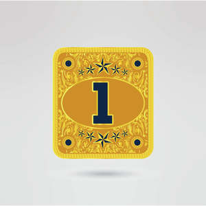 Ceinture de championnat de lutte Huzaim Elite Sports avec logo personnalisé, plaque centrale dorée, quatre plaques latérales, sangle noire, métal, crête d'aigle - Product Image 3