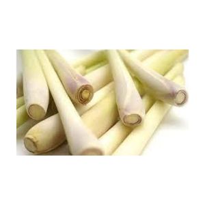 Export Standar, hierba de limón fresca cultivada de forma natural para sabores auténticos - Product Image 2