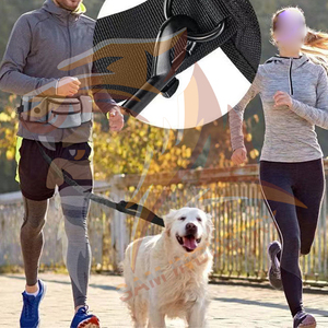 Bolsa de Entrenamiento para Perros Personalizada, Impermeable, de Lona, Portátil, Nuevo Diseño, en Venta - Product Image 2