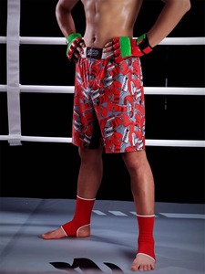 Pantalones Cortos de MMA para Hombre, Diseño Desgastado, Cintura Elástica, para Entrenamiento de Gimnasio, Kickboxing, Ligeros, de Secado Rápido, Coloridos, para Artes Marciales Mixtas - Product Image 4