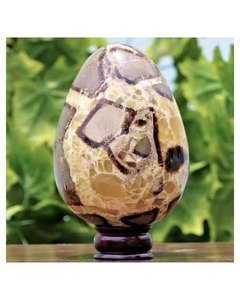 Huevo de Cristal de Jaspe Septariano Natural Pulido al por Mayor con Base de Madera, Decoración Feng Shui para el Hogar, Coleccionable - Product Image 1