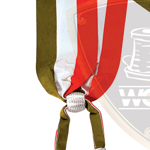 Premium Ceremonial Sash Parade Ceremonial Sash Silk Tri-Color <b>Ribbon</b> with Two Silver Bullion <b>Wire</b> Tassels WOK Industries - Product Image 2