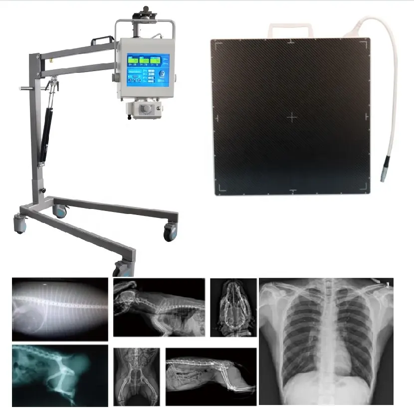 Máquina DE RAYOS X portátil digital de rayos X con panel DR para diagnóstico de imágenes radiográficas Detector DE RAYOS X de dígitos
