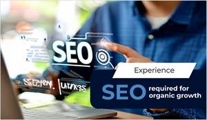 Proporcionando servicios especializados en SEO con experiencia avanzada para el crecimiento orgánico de su sitio web de la industria bancaria y financiera - Product Image 3