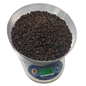 Pimienta Negra de Vietnam en Oferta, 500GL 550GL FAQ, Pimienta Entera Seca, Suministro de Fábrica, Exportación a Granel, Especias al por Mayor - Product Image 2