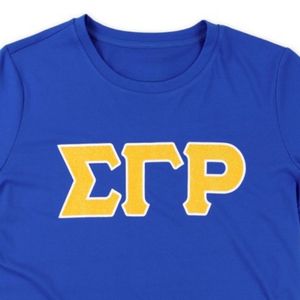 เสื้อยืด Sigma Gamma Rho สีน้ำเงินรอยัล กลิตเตอร์ ดรายฟิต สำหรับทุกเพศ ชุดกีฬาสมาคมนักศึกษากรีก เสื้อยืดดูดซับความชื้น ประสิทธิภาพสูง - Product Image 3