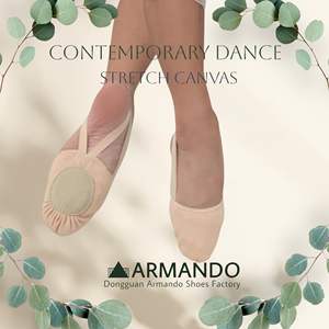 รองเท้าบัลเลต์แบบครึ่งพื้น รองเท้าเต้นแจ๊ส รองเท้ากายกรรม ผ้าแคนวาสยืดหยุ่น ซับในผ้าฝ้าย สำหรับผู้หญิง มีสินค้าในสต็อก US - Product Image 5