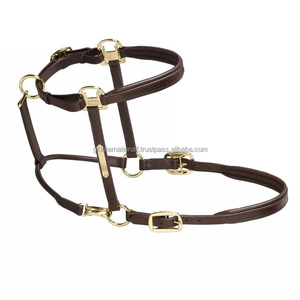 Cabestro para Caballo de Cuero Acolchado Cómodo y Duradero con Placa de Nombre de Latón Personalizada y Herrajes de Latón Ajustables Resistentes - Product Image 3