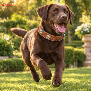 Collar de Cuero para Perro con Diseños Florales Tallados al Estilo Western |   Collar Ajustable para Mascotas con Hebillas Plateadas, Hecho a Mano - Product Image 4
