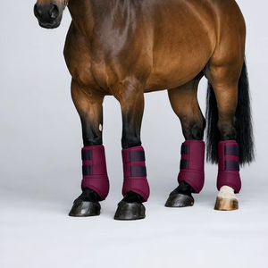 Botas de equitación medicinales de neopreno, amortiguadoras, transpirables, duraderas, protección para las piernas ecuestres, fabricante OEM - Product Image 1