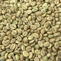 Expédition en gros de grains de café entiers vietnamiens, calibre 18, en sacs de jute de 60 kg, prix usine directement des montagnes du Vietnam