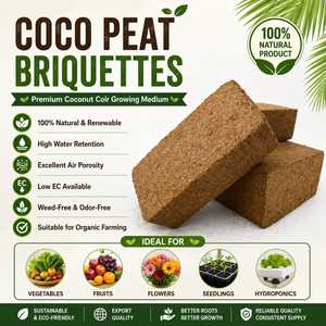 Briquettes de tourbe de coco lavée à faible teneur en EC de 650g, briques de coco compressées organiques pour l'hydroponie et les pépinières de détail - Product Image 2