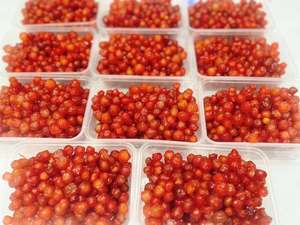 Confiture de Groseilles Malaisiennes Premium Séchées et Conservées dans du Sirop, Disponible en Vrac et en Emballage Cadeau à un Prix Abordable - Product Image 3