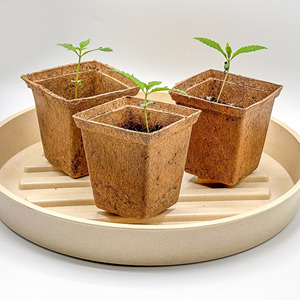 Macetas de plantas de fibra de coco, coco, hidropónico, redondo, compostable, precio más barato, venta directa de fábrica - Product Image 4
