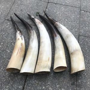 Vaso de Cuerno de Búfalo, Hecho a Mano, de Cuerno Genuino de Buey, para Cerveza y Vino, Estilo Rústico - Product Image 2