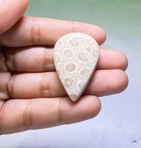 Cabochons de corail fossile naturel, cristaux minéraux polis, pierres précieuses de haute qualité, formes variées, matériaux en vrac pour la fabrication de bijoux - Product Image 2