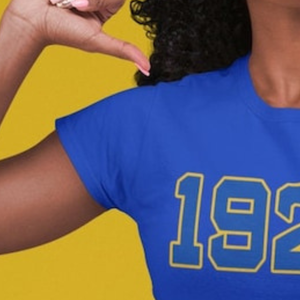 Camiseta gráfica desgastada personalizada SGRho 1922 para mujer, camiseta suave de manga corta de la hermandad griega Sigma Gamma Rho, ropa universitaria vintage - Product Image 5