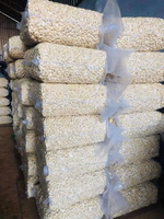 Biologische Gedroogde Geroosterde Cashewnoten Zout Bulk Premium Korrels Snack Vietnam IIGLOBAL FARM Topkwaliteit Voedsel 12-24 Maanden Houdbaarheid
