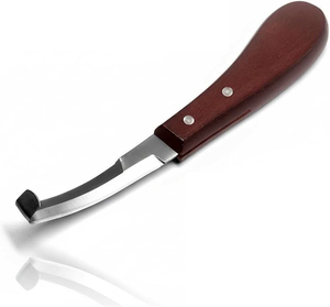Cuchillo para huevos de botella con hoja de acero inoxidable y mango de madera, herramienta de precisión para la eliminación de huevos de mosca de botella, diseño ergonómico, seguro - Product Image 1