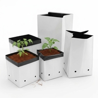 Bolsa de Cultivo de Fibra de Coco de la Mejor Calidad, Lámina de Coco para Cultivo Hidropónico de Fresas y Tomates