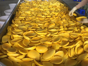 Mango Seco Estándar de Exportación, Suave y Dulce, Sin Azúcar, 12 Meses de Vida Útil, Venta Directa al por Mayor desde Vietnam, Marca VIET AGRIMEX - Product Image 6