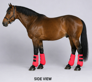 Bottes de protection équestres en néoprène pour chevaux, durables, absorbant les chocs, respirantes, soutien des jambes, protection, OEM personnalisé - Product Image 4