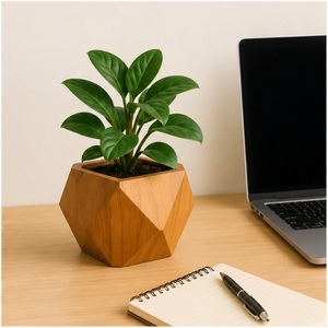 Maceta Geométrica Moderna de Madera, Minimalista, Facetada, para Suculentas, Hecha a Mano, Decoración Sostenible para Escritorio, Hogar y Oficina - Product Image 3