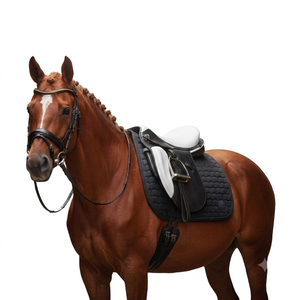 Silla de montar de cuero de 16 pulgadas para caballo, ligera, con estructura de fibra de carbono, para carreras ecuestres y equitación - Product Image 5