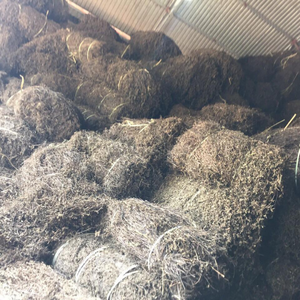 Gelée de plantes du Vietnam brute pour la sélection des chefs professionnels et la création de gelées aux herbes de qualité supérieure pour les bars à jus - Product Image 5