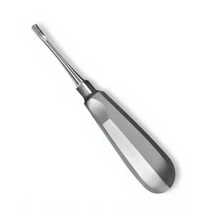 Élévateur apical droit de 6 pouces # Instrument d'extraction dentaire 301 en acier inoxydable, élévateur luxateur pour l'extraction des racines dentaires - Product Image 1
