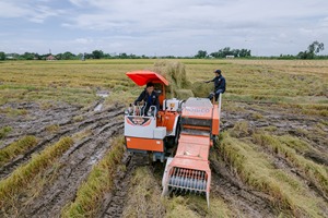Nouvelle vente chaude HOGICO CR-75VN moteur et boîte de vitesses alimenté Mini presse à balles rondes-Lamineuse automatique de paille pour l'agriculture - Product Image 3