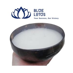 Bougie chauffe-plat artisanale en coque de noix de coco, la plus vendue, durable, de haute qualité, en cire d'abeille pure, longue durée, parfum vanille, directement du fabricant - Product Image 1
