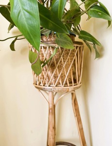 Tall Rattan Planter <b>Stand</b> For Indoor Plants Home Corner Balcony Garden Decorative Flower <b>Pot</b> Holder Boho Floor Decor From India - Product Image 2