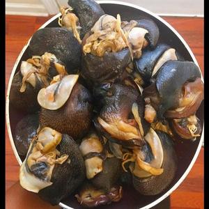 หอยทากแอฟริกันแช่แข็งคุณภาพพรีเมียม พร้อมจำหน่ายราคาส่ง ซื้อเลยเพลิดเพลินไปกับการจัดส่งรวดเร็ว - Product Image 6