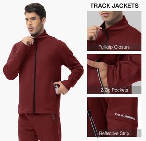 Conjunto Deportivo de 2 Piezas para Hombre, Sudadera con Cierre Completo, Conjunto para Correr, Venta al Por Mayor OEM - Product Image 6