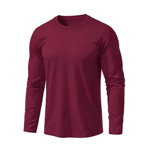 Productos Más Vendidos al por Mayor, Ropa para Hombre, Camiseta Personalizada de Manga Larga Lisa, Camiseta de Poliéster de Secado Rápido para Hombre - Product Image 2
