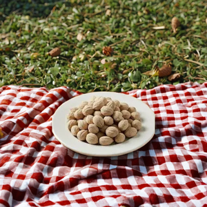 Terminalia Bellirica (Triphala Churan) séché au soleil entier de qualité supérieure avec une durée de conservation de 2 ans - Product Image 2