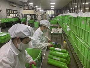 Filtre à eau Nano Silver 10 "| Purification efficace | Fabrication au Vietnam - Product Image 3