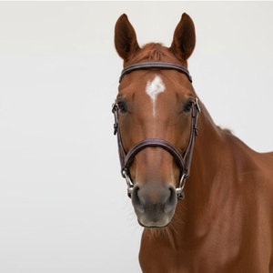 Premium Quality Leather Horse Bridles Adjustable Soft Padded Equestrian Tack Wholesale Supply Horse Bridles - Product Image 5
