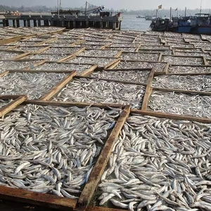 Anchoas Secas al Sol de Tamaño Pequeño para Cocina Asiática, Exportación al por Mayor - Product Image 2