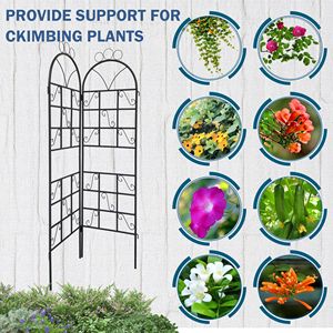 Set di 2 tralicci da giardino in metallo nero, antiruggine, per piante rampicanti, recinzioni e cancelli - Product Image 1