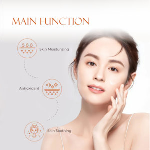 Malaysia Good Seller Bird Nest <b>Serum</b> OEM B2B Best Supplier Guarantee Skin Care Moisturizing <b>Face</b> Treatment Essence Formula - Product Image 4